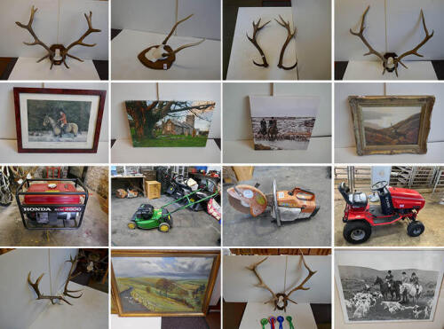 DISPERSAL SALE OF AN INDEPENDENT HORTICULTURAL ENGINEER  TO INC. RIDE ON LAWNMOWERS, PEDESTRIAN MOWERS, ASSOCIATED EQUIPMENT AND TOOLS +  A RANGE OF FIELD SPORTS MEMORABILIA TO INC 40 SETS ON ANTLERS AND FIELD SPORTS PRINTS