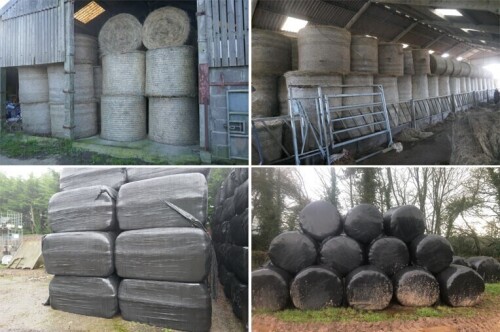 THE SOUTH WEST JANUARY ONLINE TIMED AUCTION OF FODDER- RUNNING FROM: – THURSDAY 20TH - SUNDAY 30TH JANUARY 2022