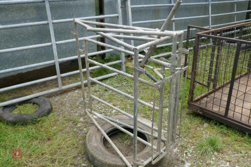 GALVANISED SHEEP SHEDDING GATE