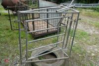 GALVANISED SHEEP SHEDDING GATE - 4