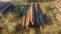 APPROX 20 1.6M WOODEN FENCE STAKES - 4