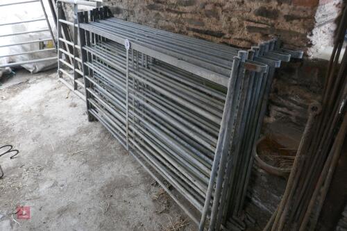 12 X 6' GALV SHEEP HURDLES