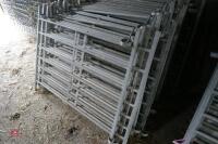 10 X 4' GALV SHEEP HURDLES - 3