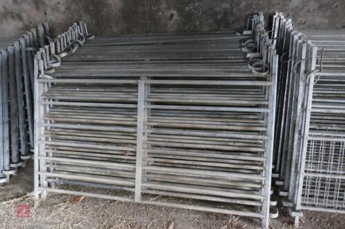 10 X 4' GALV SHEEP HURDLES