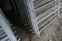 10 X 4' GALV SHEEP HURDLES - 4