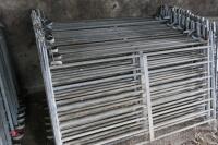 10 X 4' GALV SHEEP HURDLES - 6