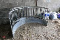 GALV SHEEP RING FEEDER - 4