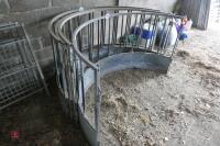 GALV SHEEP RING FEEDER - 8