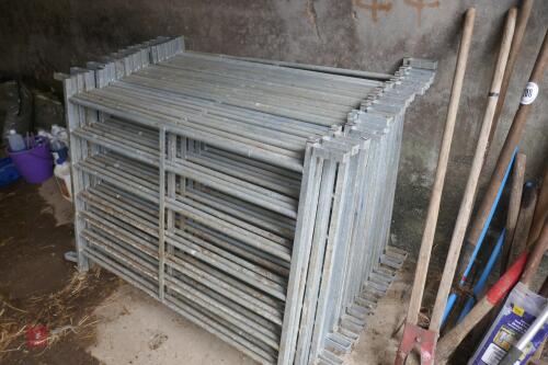 10 4' GALVANISED SHEEP HURDLES