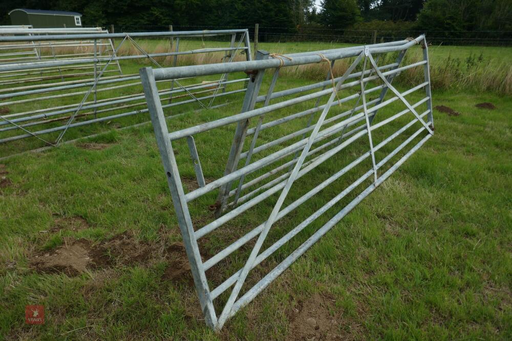 12' GALVANISED GATE