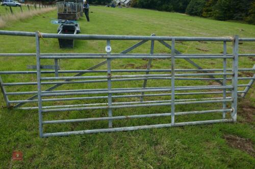 8' GALVANISED GATE