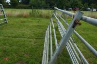 8' GALVANISED GATE - 6