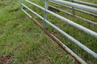 12' GALVANISED FIELD GATE - 2