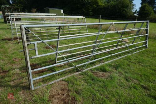 15' GALVANISED YARD GATE