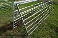 2 X 12' GALVANISED FIELD GATES - 8