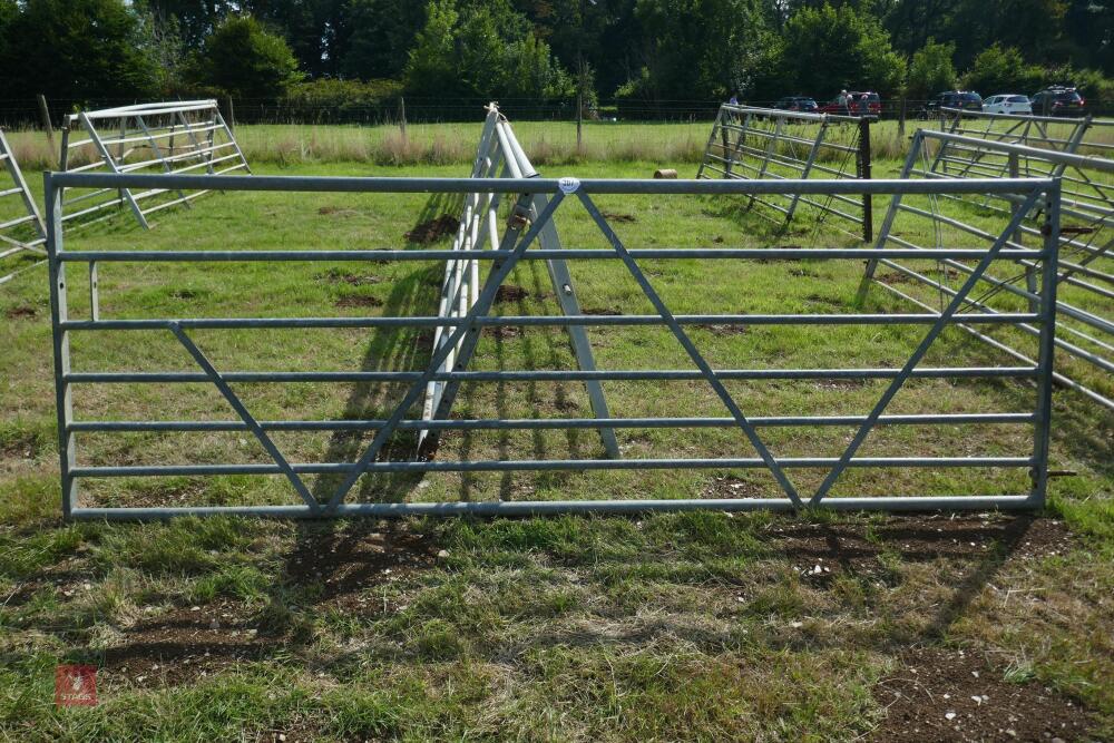 2 X 12' GALVANISED FIELD GATES