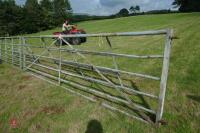 11' GALVANISED FIELD GATE - 4