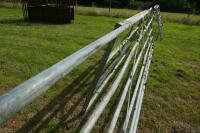 11' GALVANISED FIELD GATE - 5