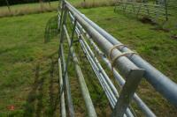 2 X 8' GALVANISED FIELD GATES - 4