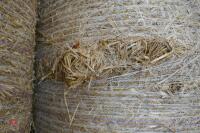 17 ROUND BALES OF BARLEY STRAW (Bids Per Bale) - 5