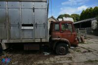 BEDFORD LORRY - 31