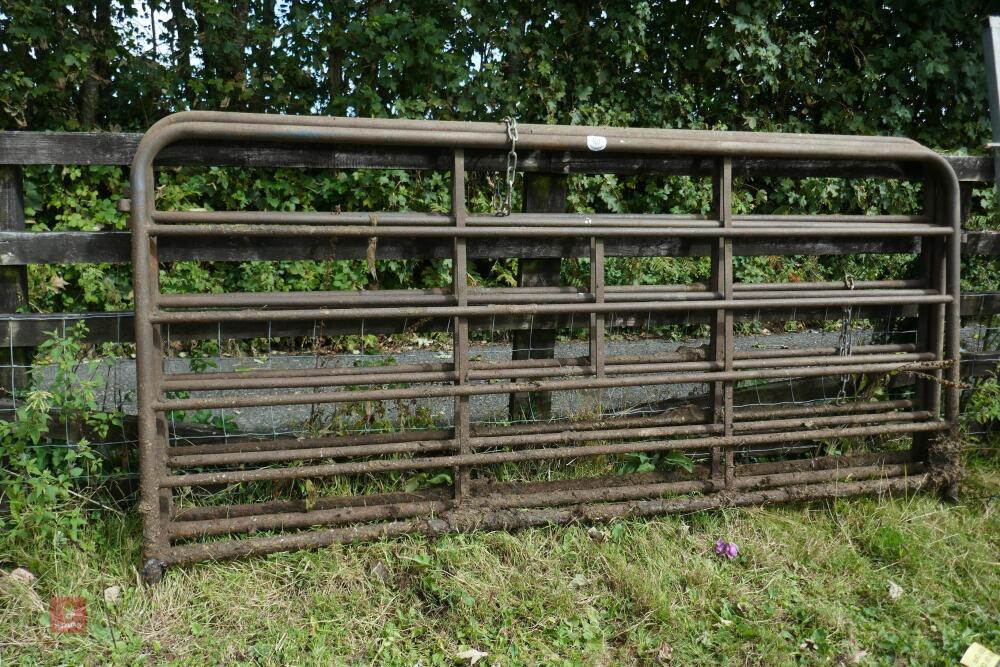 3 X 10' CATTLE HURDLES