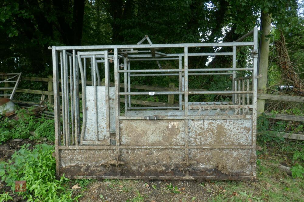 IAE GALVANISED CATTLE CRUSH