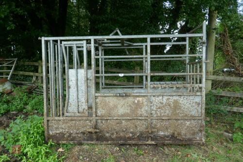 IAE GALVANISED CATTLE CRUSH