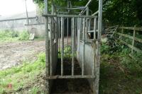 IAE GALVANISED CATTLE CRUSH - 4