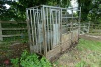 IAE GALVANISED CATTLE CRUSH - 7