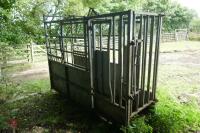 IAE GALVANISED CATTLE CRUSH - 10