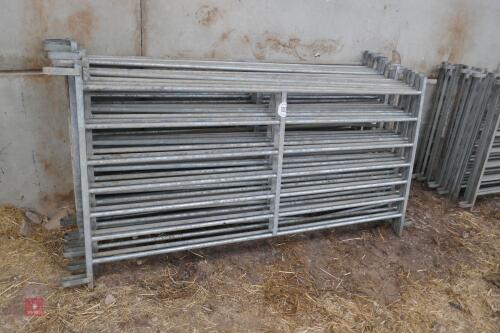 15 GALV SHEEP HURDLES