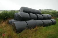 33 ROUND BALES OF 2022 SILAGE (Bids Per Bale) - 2