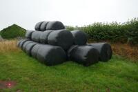 33 ROUND BALES OF 2022 SILAGE (Bids Per Bale) - 3