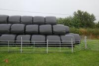 78 ROUND BALES OF 2022 SILAGE (Bids per Bale) - 2