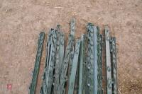 19 GREEN PLASTIC ELECTRIC FENCE STAKES - 5