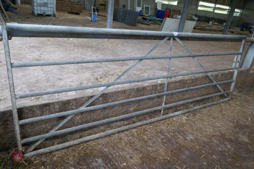 11' GALVANISED HD YARD GATE