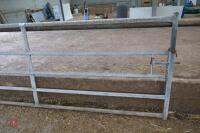 11' GALV HD YARD GATE - 5