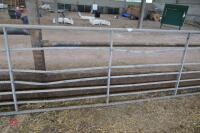 IAE 16' GALVANISED GATE