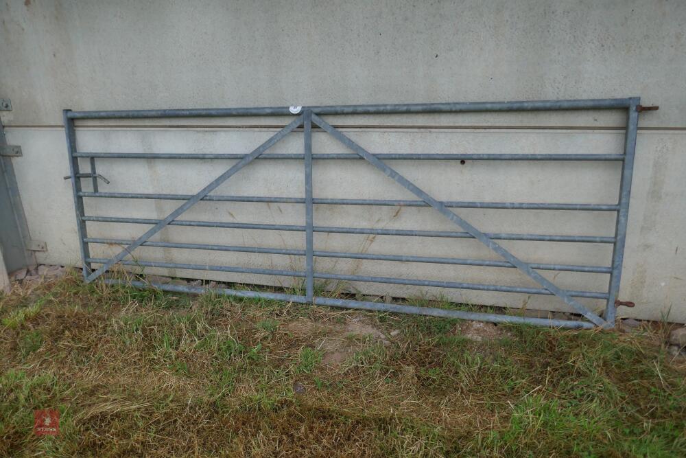 10'5.5" GALVANISED GATE