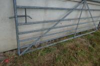 10'5.5" GALVANISED GATE - 4