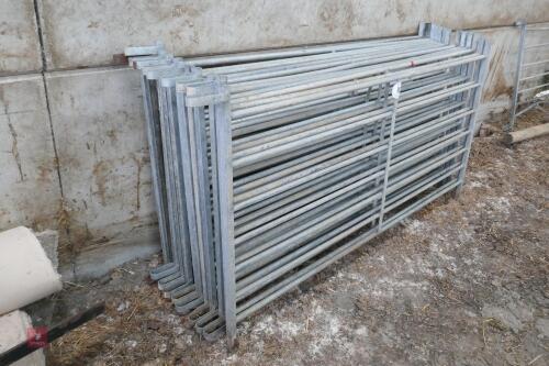 13 GALVANISED SHEEP HURDLES