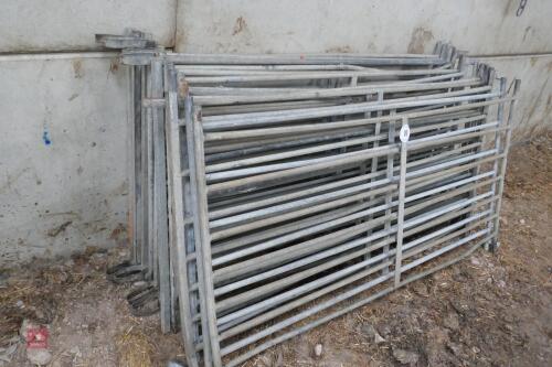 14 GALVANISED SHEEP HURDLES