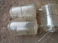 11 GLASS MILKING JARS - 9