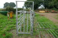 BATEMAN GALVANISED CATTLE RACE