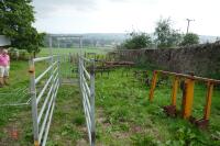 BATEMAN GALVANISED CATTLE RACE - 3