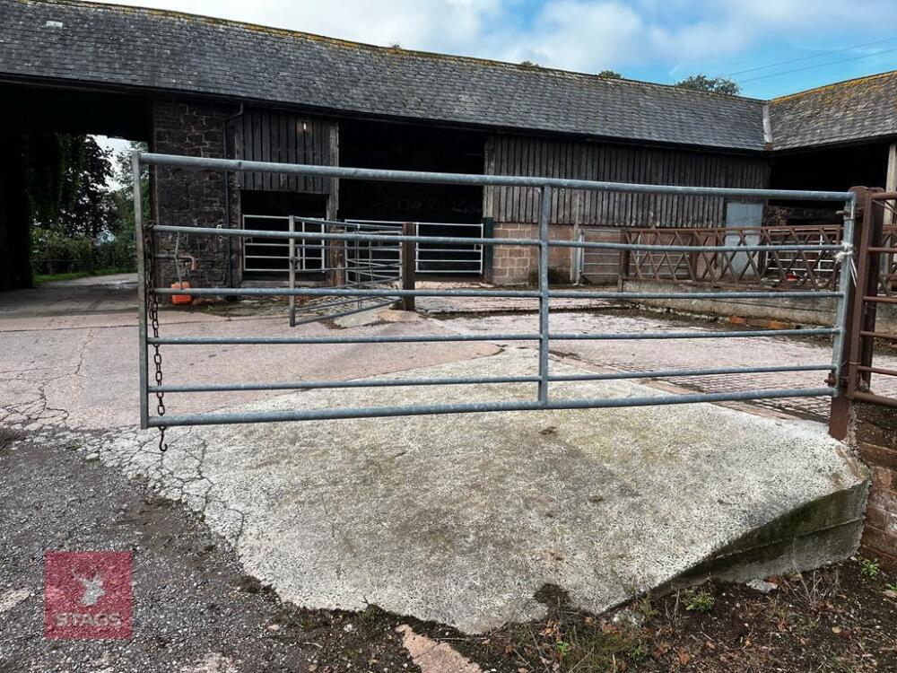 12' GALVANISED FIELD GATE