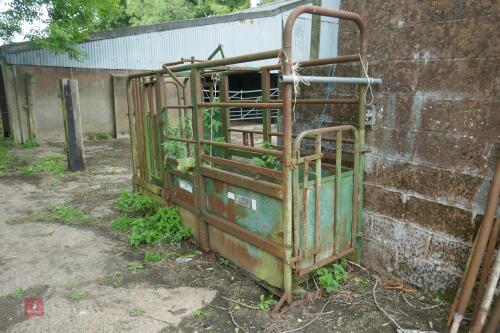 HANFORD CATTLE CRUSH