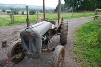 1956 FERGUSON FE35 GREY & GOLD 2WD TRACTOR - 2