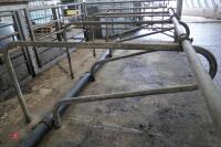 10 STAND ALONE COW CUBICLES - 5